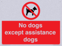 no-dogs-except-assistance-dogs~